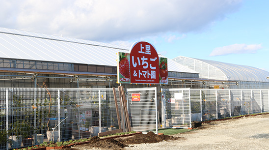 上里いちご＆トマト園外観